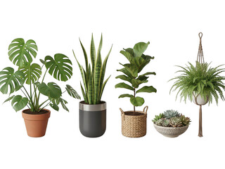 Obraz premium Collection of houseplants in various pots isolated on transparent background