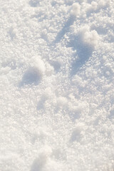 Fototapeta premium Close-up of fresh white snow with sparkling ice crystals in sunlight. Natural winter texture background with soft shadows and clean minimal look.