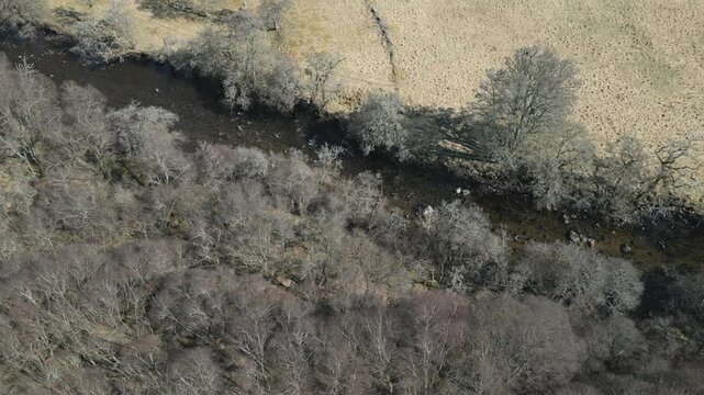 High angle aerial shot of a dark river winding through a dense forest of leafless winter trees and dry fields. Ideal for environmental or seasonal nature content.
