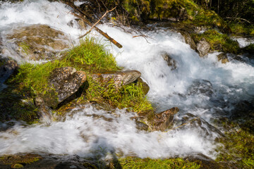 Crystal clear river water tumbles energetically over moss-covered stones and vibrant green grass, illuminated by sunlight in a lush Pyrenean landscape.