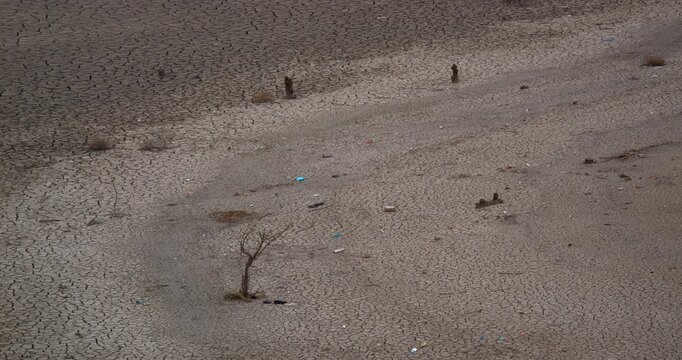 cracked dry lakebed with dead trees and debris severe drought climate change water scarcity environmental degradation aerial view
