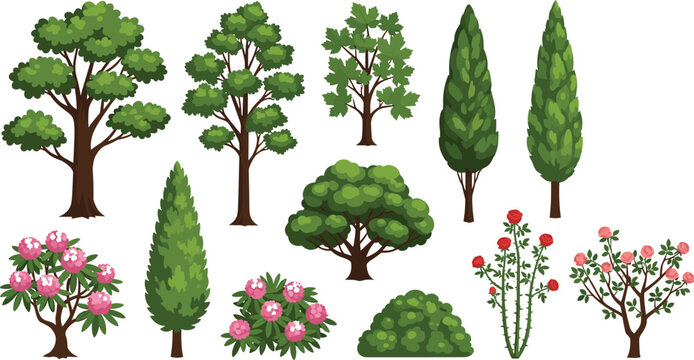 tree and bush icon set for landscape design. plant collection vector illustration. forest vegetation