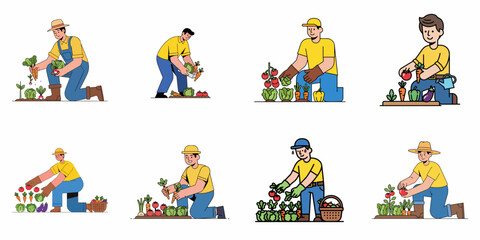 Fototapeta premium Set of eight flat outline vector illustrations depicting men harvesting various fresh organic vegetables and crops from a home garden or farm.