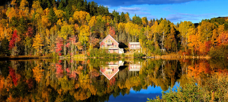 Autumnal colors in the forest near Saint Sim&eacute;on, Canada, Quebec