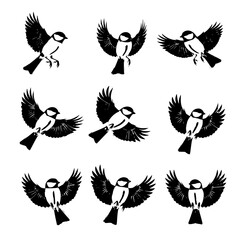 Set of Tits in Flight Vector Illustration Isolated on White © MdAmzad