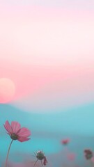 Fototapeta premium Pink Cosmos Flower Against Soft Pastel Sky