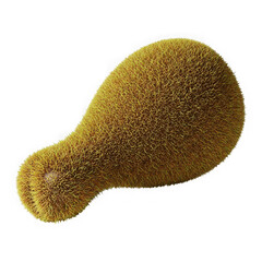 A close-up view of a rough-textured, brown, elongated fruit with a pointed end.