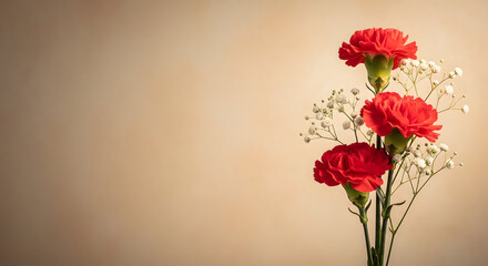 Fototapeta premium Three red carnations with baby's breath on a beige background
