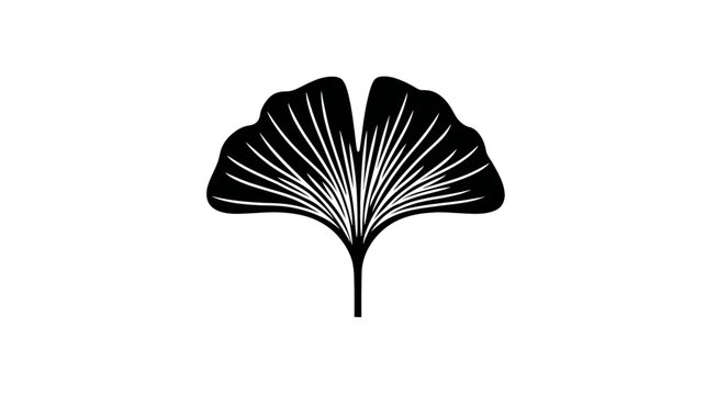 A simple, symmetrical, black and white representation of a ginkgo leaf against a white background