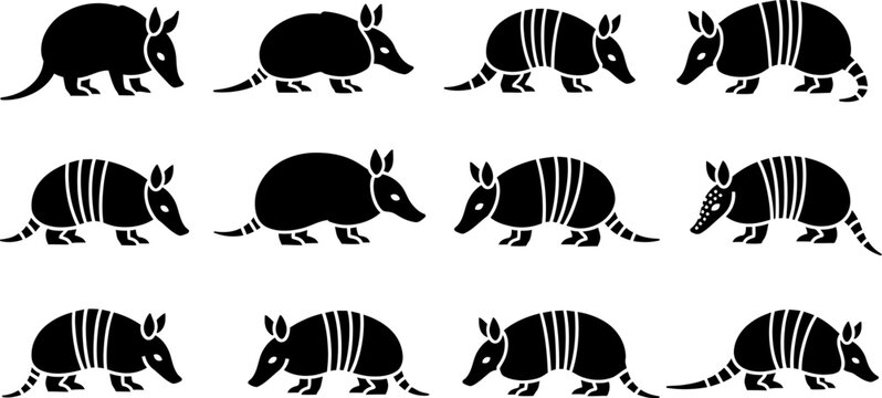 Armadillo silhouette illustrations in various positions and angles