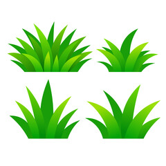 Fototapeta premium Vector image of green lawn grass for open ground, isolated on a white background. Cartoon garden image, element for your design.