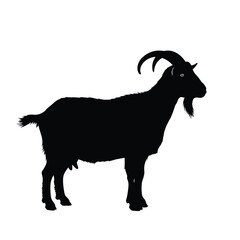 Black Silhouette of a Goat Standing Profile View animal