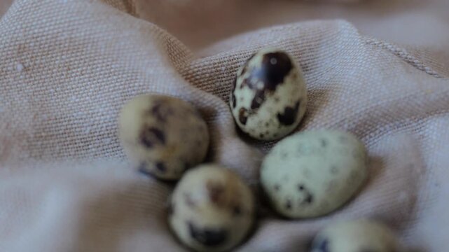 Four quail eggs sit on soft fabric, showing their unique patterns and colors in a simple setup on a flat surface.