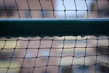 a cat looking from the balcony with a protective net to prevent falls