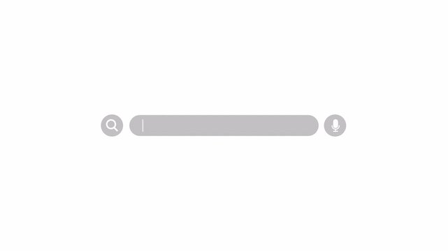 Animated search bar animation on transparent background, modern internet browsing UI search bar button, magnifying glass icon animation with alpha channel.
