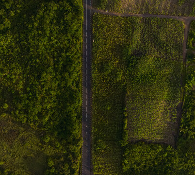 Aerial View: Rural Road Bisection of Vibrant Farmland Landscape