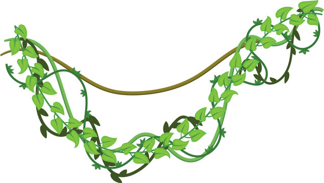 Climbing liana. Green vines hanging cartoon icon