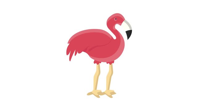 Vector illustration of a cheerful flamingo, featuring bright pink feathers and a playful pose, on a plain backdrop.
