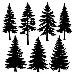 Obraz premium Tall Pine and Fir Forest Vector Illustration