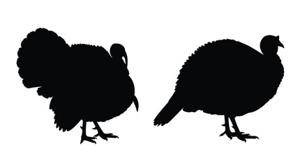 Collection of Five Black Turkey Silhouettes bird fowl