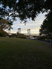 Fototapeta premium Ryde Bridge view framed by tree, Sydney, Australia.