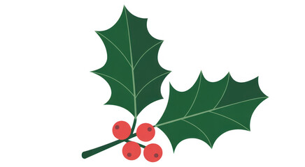 Green holly leaves with red berries isolated on a transparent background