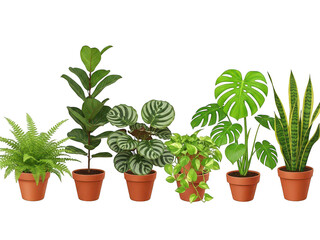 Fototapeta premium Collection of houseplants in pots isolated on transparent background