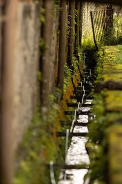 C&oacute;rrego escoando &aacute;gua na base de muro e gramado ao lado. 