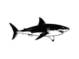 Obraz premium Fierce black silhouette of a great white shark, ocean predator and danger concept, vector illustration