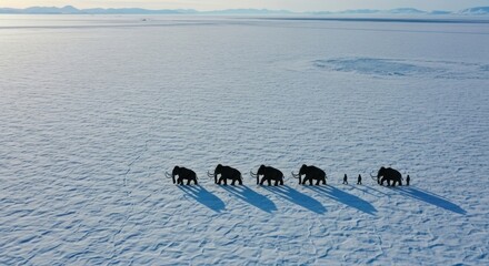 footprints in the snow