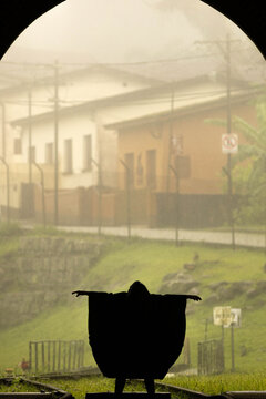 Casas e pr&eacute;dios em cidade coberta por neblina. 