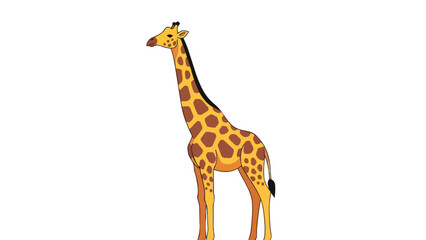 Obraz premium A vibrant giraffe illustration with a long neck and distinctive spots. It stands gracefully on a clean white backdrop. Perfect for educational