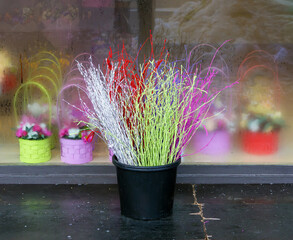 Decorative bunch of dyed birch branches in black pot as floral arrangements at home interior