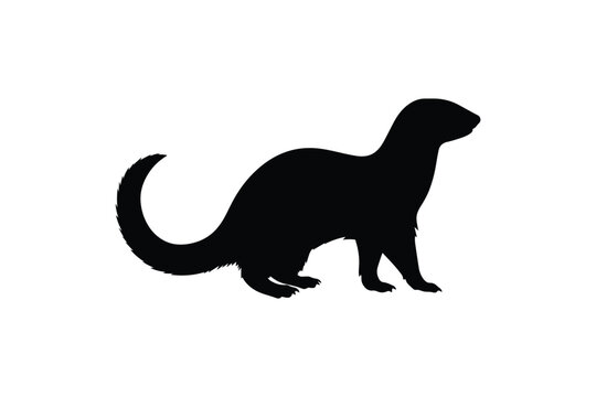 Ferret silhouette profile view isolated on white background curious mammal animal shape for wildlife design