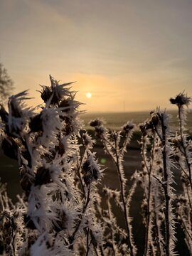 sonnenaufgang &uuml;ber dem Feld mit Eisblumen