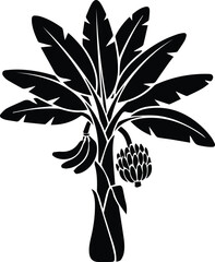 banana tree with a bunch of fruit as a solid black silhouette icon vector illustration © faiqa