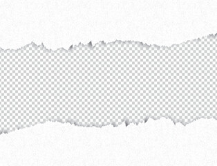 torn paper on transparent background, white torn paper background, Realistic Torn Grey Paper Edge with Transparent Background, torn paper effect, 