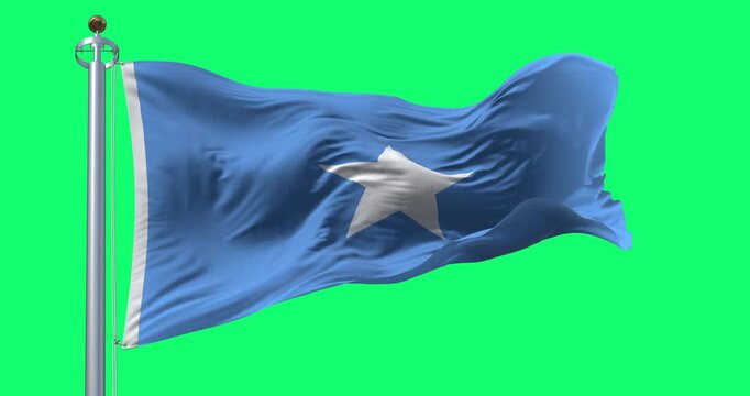 Somalia national flag waving in the wind isolated on green background