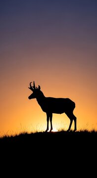 Silhouette of a pronghorn antelope on a hill at sunset.