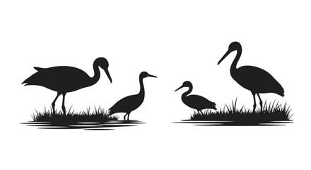 Fototapeta premium Silhouettes of storks and cranes standing in grass, elegant birds in natural habitat, vector illustration.