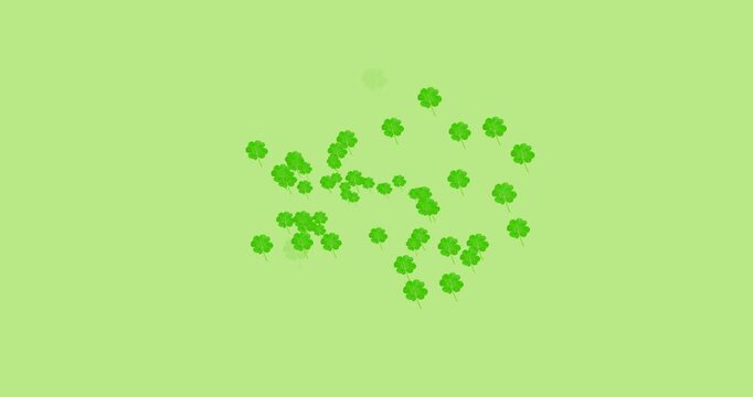 Digital animation of multiple clover leaves forming against green background