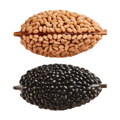 A comparison of two types of beans, kidney beans and black beans, showcasing their distinct colors and shapes. isolated on white background, Vector, illustration