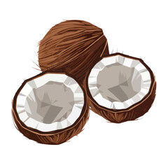 Three whole coconuts with one cut open to reveal the white inner flesh and liquid isolated on white background, Vector, illustration