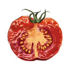 A vibrant red tomato with green leaves and a stem, showcasing its juicy and ripe appearance. isolated on white background, Vector, illustration