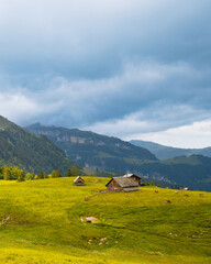 Obraz premium Alpine pasture with wooden huts and grazing cows near Brülisau, Appenzell Alps, Switzerland