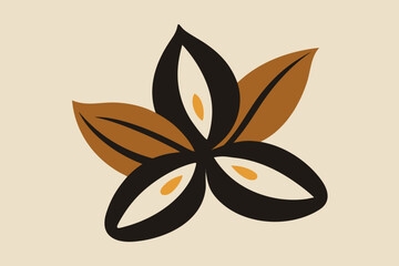 Star anise spice with brown and black petals on beige