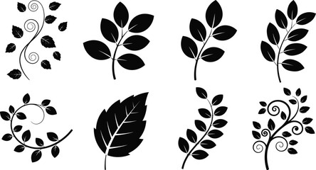 Black leaf silhouettes and floral branch vector collection featuring organic vine swirls and decorative foliage elements for nature inspired graphic design and botanical patterns © MdMehedi
