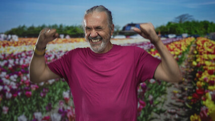 Naklejka premium Middle age man with long grey hair smiling and fists raised in studio amid rows of colorful tulip flowers in a field; joy celebration.