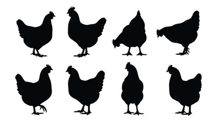 A collection of eight distinct black silhouettes of chickens in various poses and stances. Vector © Creative Designs
