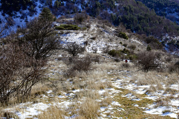 balade hivernale dans les Alpes de Haute Provence